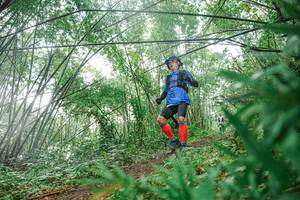 BIB: 
                            <button type="button" onclick="openModal(25116379)" class="btn btn-primary btn-sm float-right btn-popup" data-toggle="modal" data-target=".modal-high-quality">
                        <i class="fas fa-shopping-cart"></i> Add to Cart
                    </button>
                                            <button type="button" onclick="isThisMe(25116379, true)" class="btn btn-success btn-sm float-right btn-popup btn-isme hidden" data-toggle="tooltip" data-placement="bottom" title="นี่คือรูปของคุณใช่ไหม คลิกที่นี่เพื่อเอาเข้าอัลบั้ม">
                        <i class="fas fa-plus"></i> Add to album
                    </button>
                    <button type="button" onclick="isThisMe(25116379, false)" class="btn btn-warning btn-sm float-right btn-popup btn-isnotme hidden">
                        <i class="fas fa-ban"></i> Remove from album
                    </button>